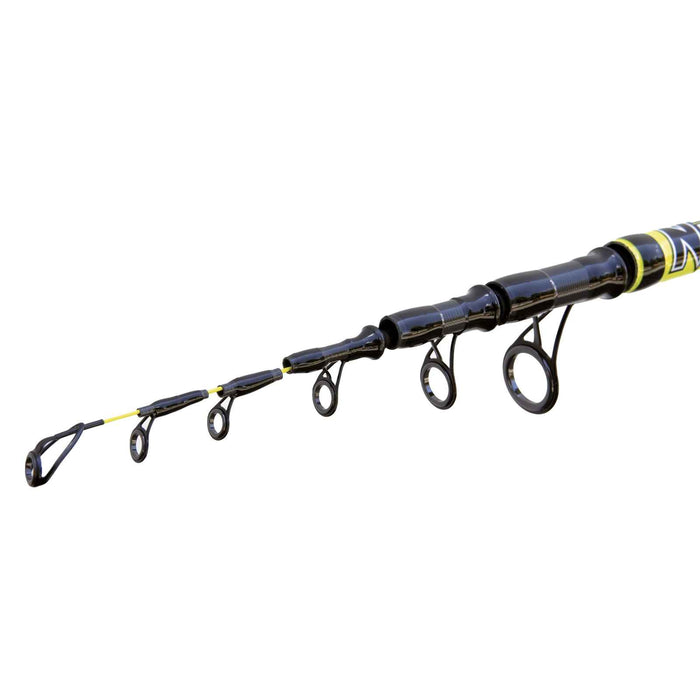 Rute Beach Queen 100g 4,20m Lineaeffe 2248542