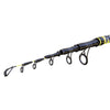 Rute Beach Queen 100g 4,20m Lineaeffe 2248542