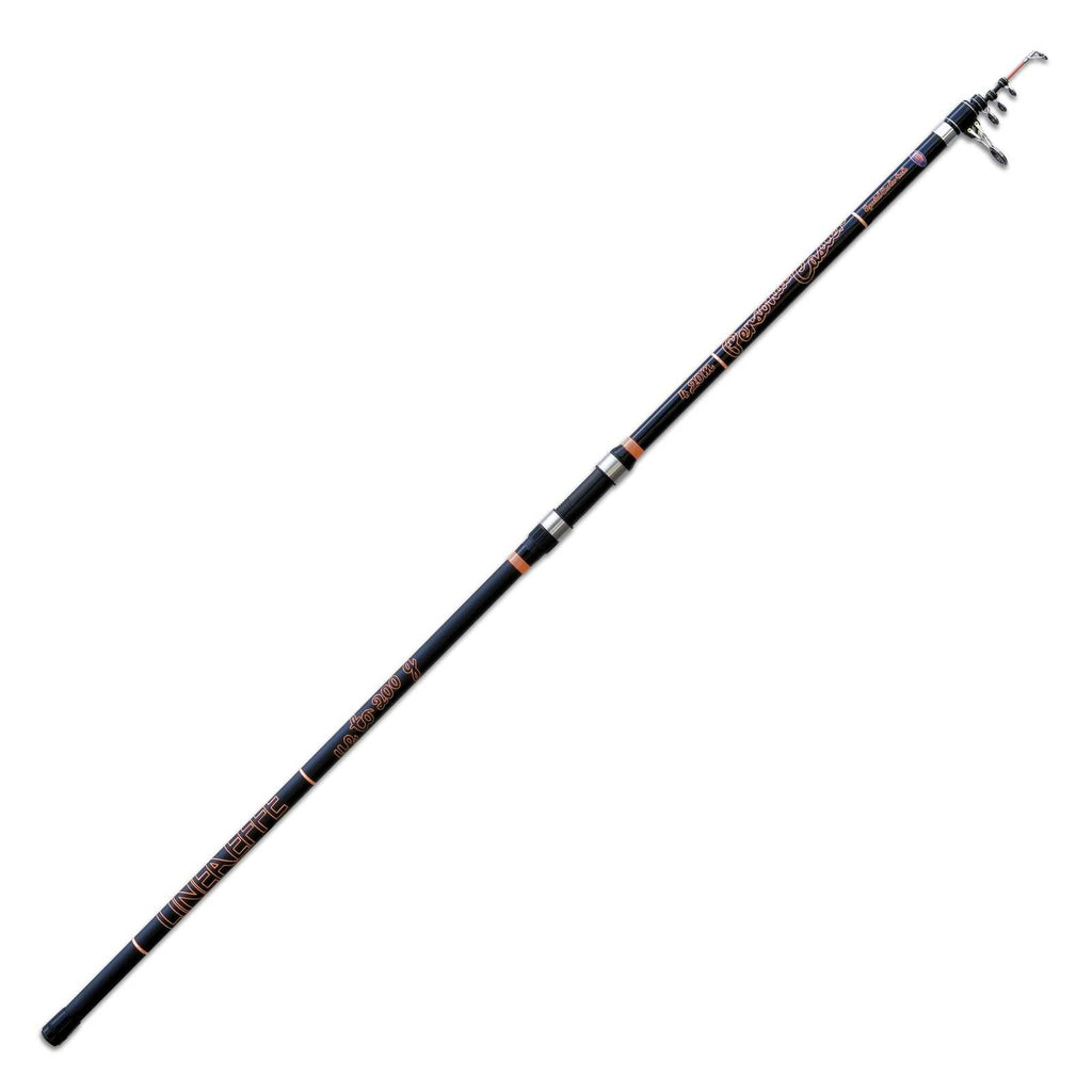 Rute Personal Caster Wtg 200g 4,20m Lineaeffe 2270142
