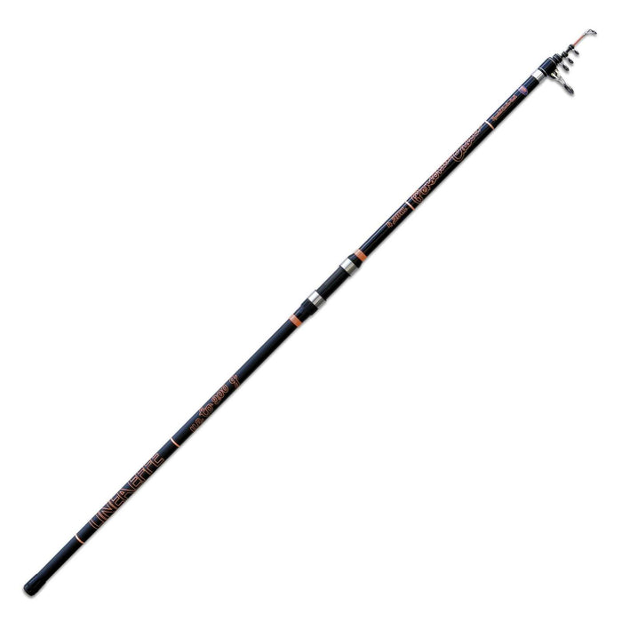 Rute Personal Caster Wtg 200g 4,20m Lineaeffe 2270142