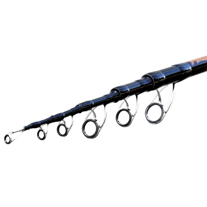Rute King Kong Sturgeon 500g 4,20m Lineaeffe 2282642