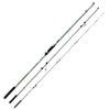 Rod Future Hybrid 300g 4,20m Fishing Ferrari 2289842
