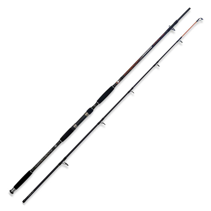 Rute Hypercat 300-500g 2,55m Lineaeffe 2312025