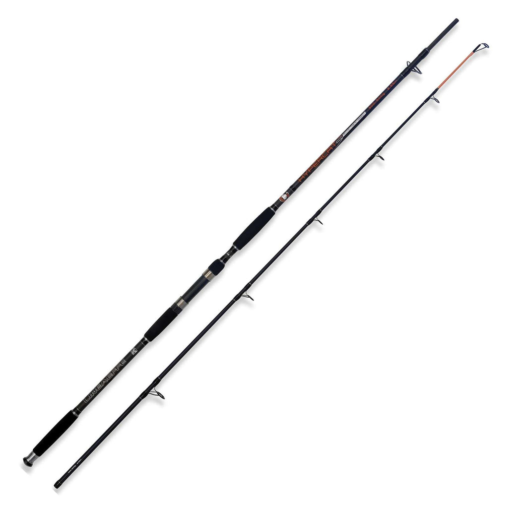Rute Hypercat 300-500g 2,85m Lineaeffe 2312028
