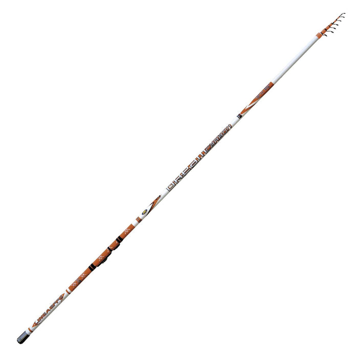 Rute Dream Carbon Evolution Bolo 7m Lineaeffe 2516807