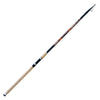 Rute Toro Revolution 100g 4,20m Lineaeffe 2866710
