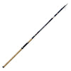 Rute Lancer 80g 3,60m Lineaeffe 2868536