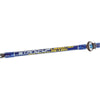 Salzwasser Trollingrute Stand-Up 12-20lb 1,65m Expert Predator 31120