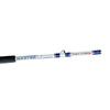 Salzwasser Bootsrute Master 100-180g 2,1m Expert Predator 31552