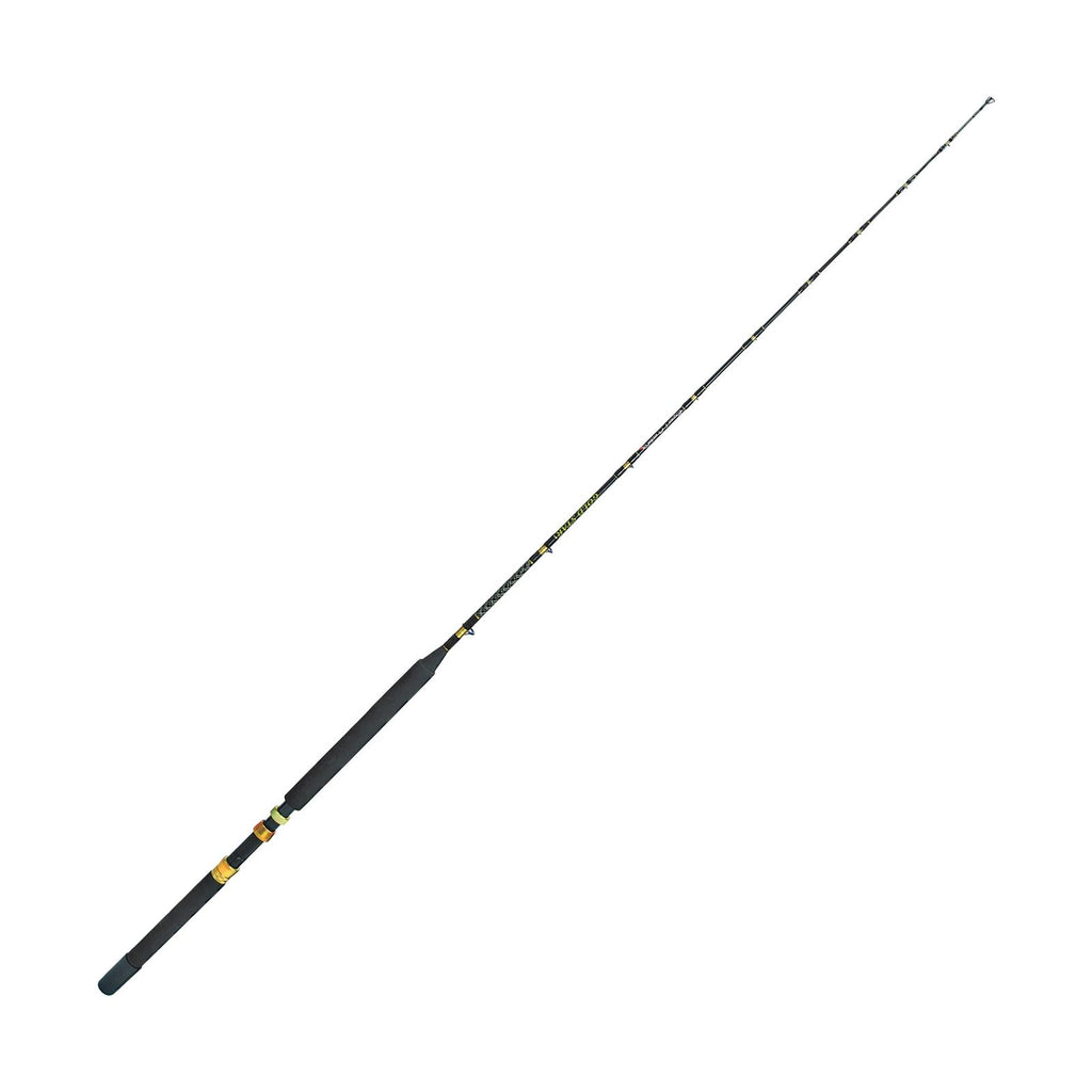Salzwasser Trollingrute Gold Star 1,65m Expert Predator 31565