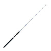 Salzwasser Bootsrute Ricciola 1,8m Expert Predator 35151