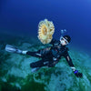 Aletas de buceo Excite Pro Amarillo-Fluo R-41-44 Mares 410026SARYF