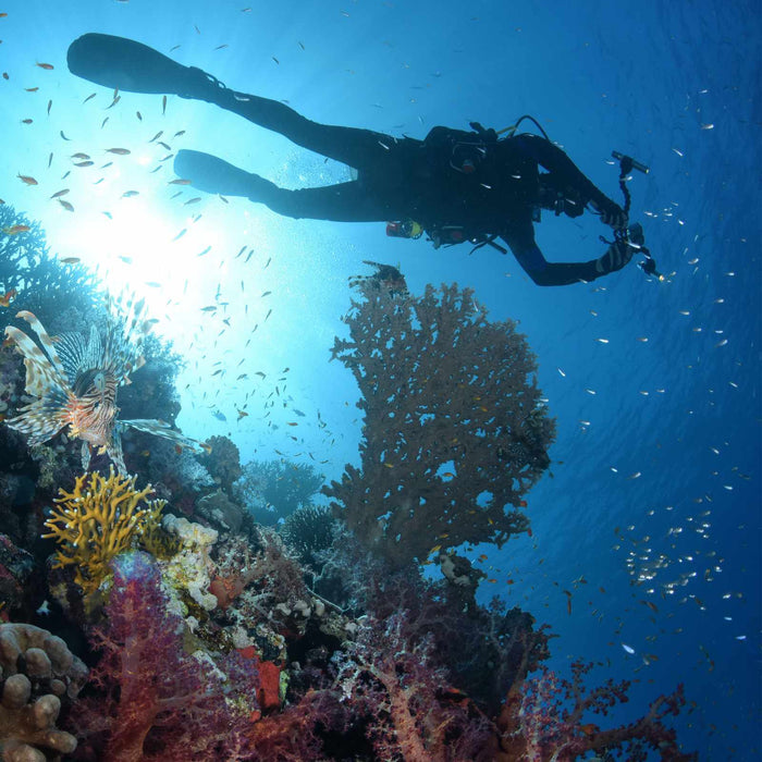 Regulador de buceo octopus Atlas uso normal Mares 416567