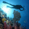 Regulador de buceo octopus Atlas uso normal Mares 416567