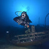 Dive Bcd Grace Ergotrim S Mares 417106S