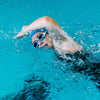 Schwimmbrille Predator Blau-Weiß Tönte-Rauch Linsen Klein Zoggs 461037BLWHTSMS