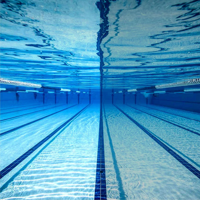 Schwimmbrille Predator Flex Titan Blau Verspiegelte-Blau Linsen Standard Zoggs 461054BLBLMBLR