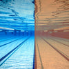 Schwimmbrille Predator Polarisierend Ultra Grau-Orange Klein Zoggs 461058GYORPCPS