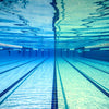 Schwimmbrille Predator Titan Grau-Schwarz Verspiegelte-Orange Linsen Klein Zoggs 461065GYBKMORS
