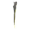Schnorchel-Flossen F2 Gelb 31-33 Abysstar 69482YL