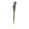 Schnorchel-Flossen F2 Gelb 42-43 Abysstar 69487YL