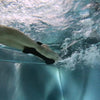 Schwimm-Pullbuoy Schwimmflügel Gelb Seabike 8533729